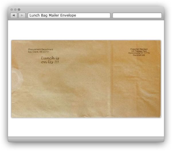 Lunch-Bag-Mailer-Envelope